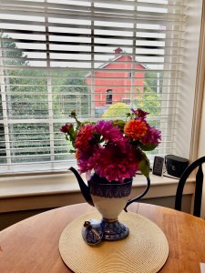 Vase of dahlias in foreground; view of a red barn through the window